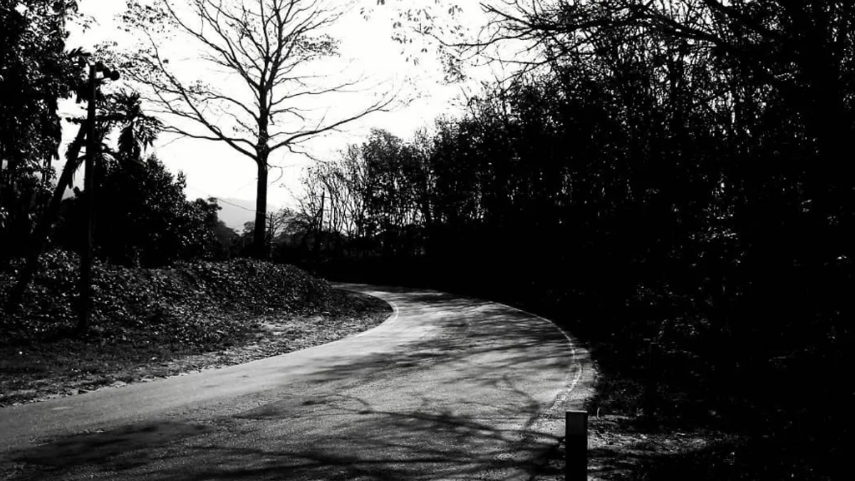 Monochrome photographic journey: