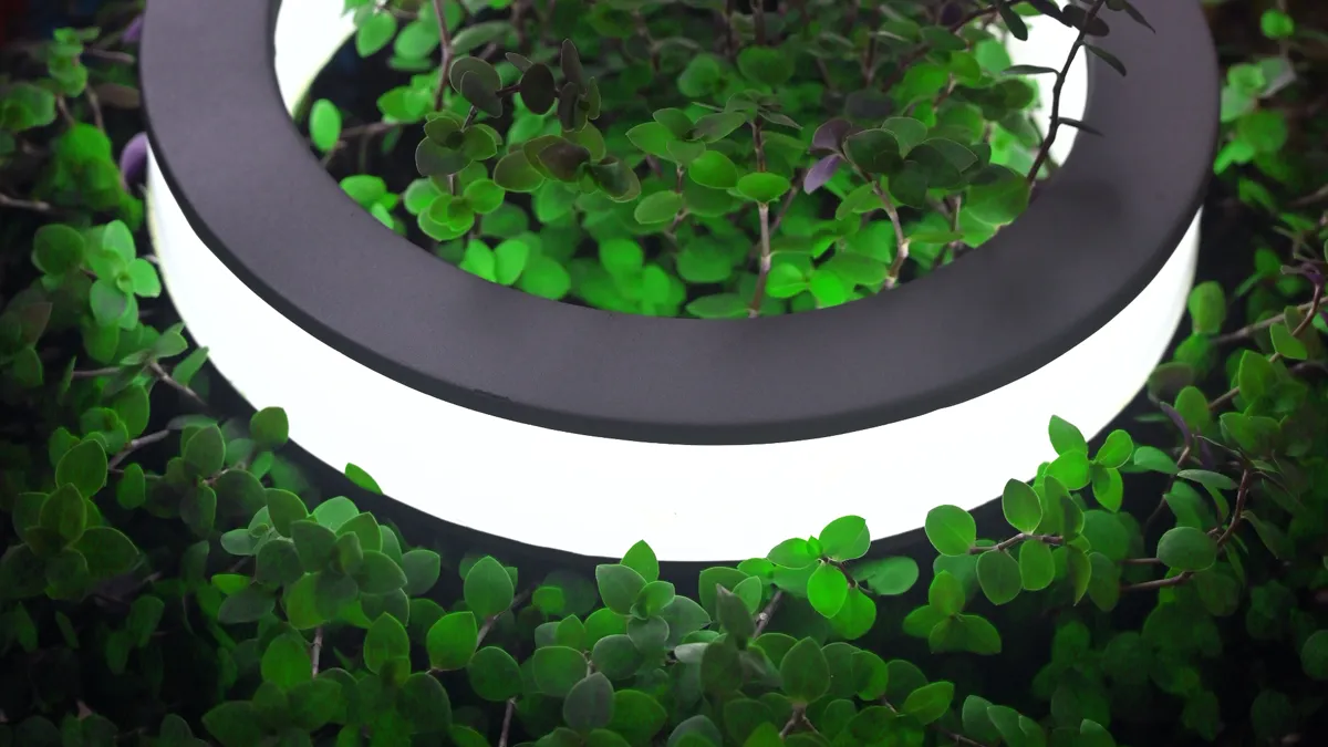 Creative LED lamp using car filter