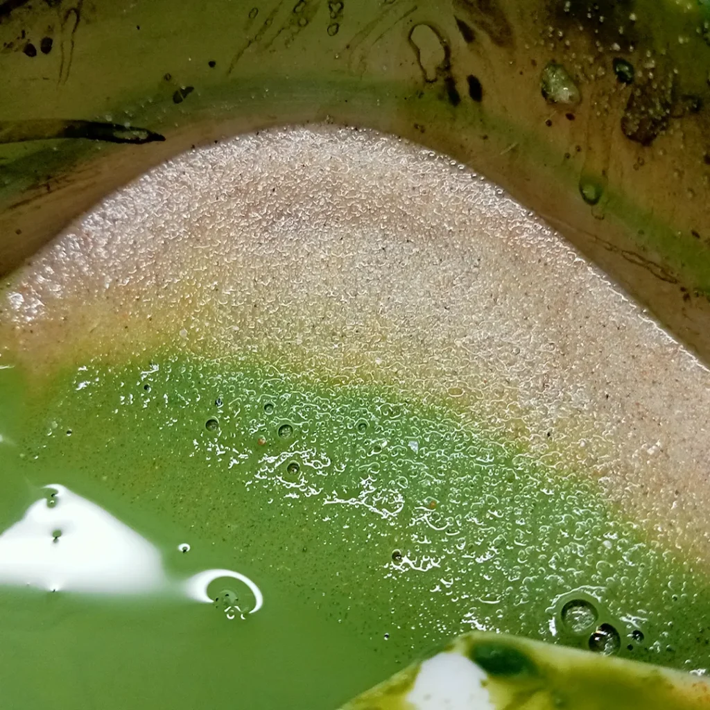 making colored sand for moss